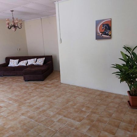 Apartamento Mi Hogar Julianadorp Exterior foto