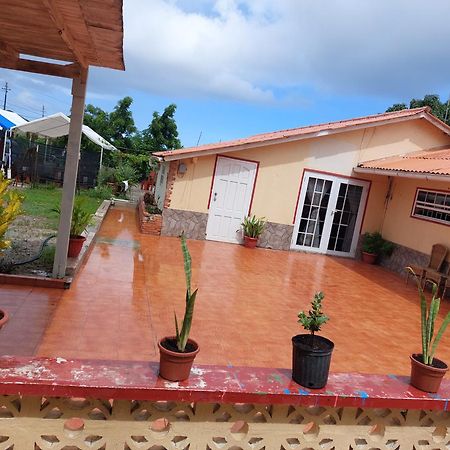 Apartamento Mi Hogar Julianadorp Exterior foto