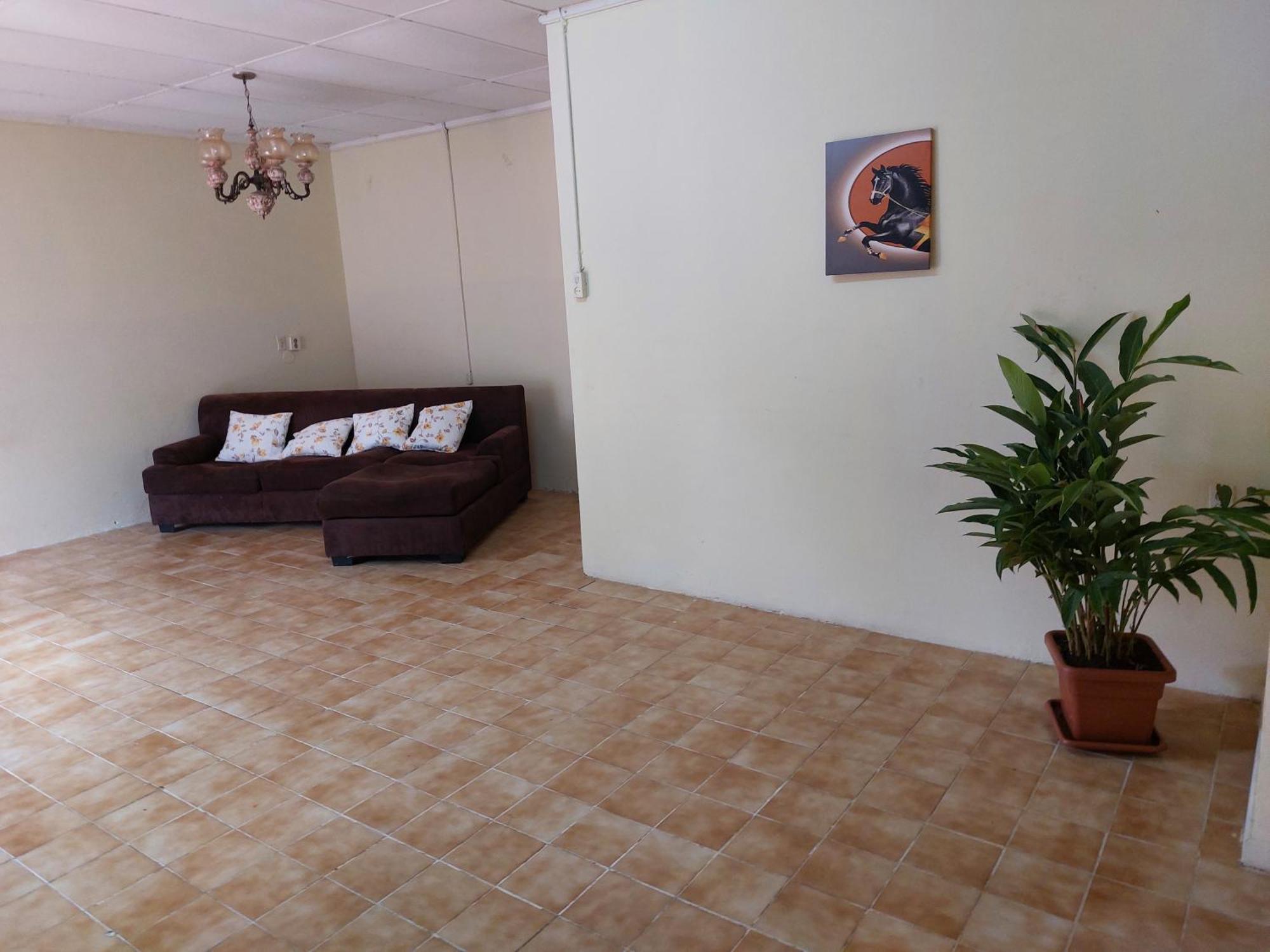 Apartamento Mi Hogar Julianadorp Exterior foto