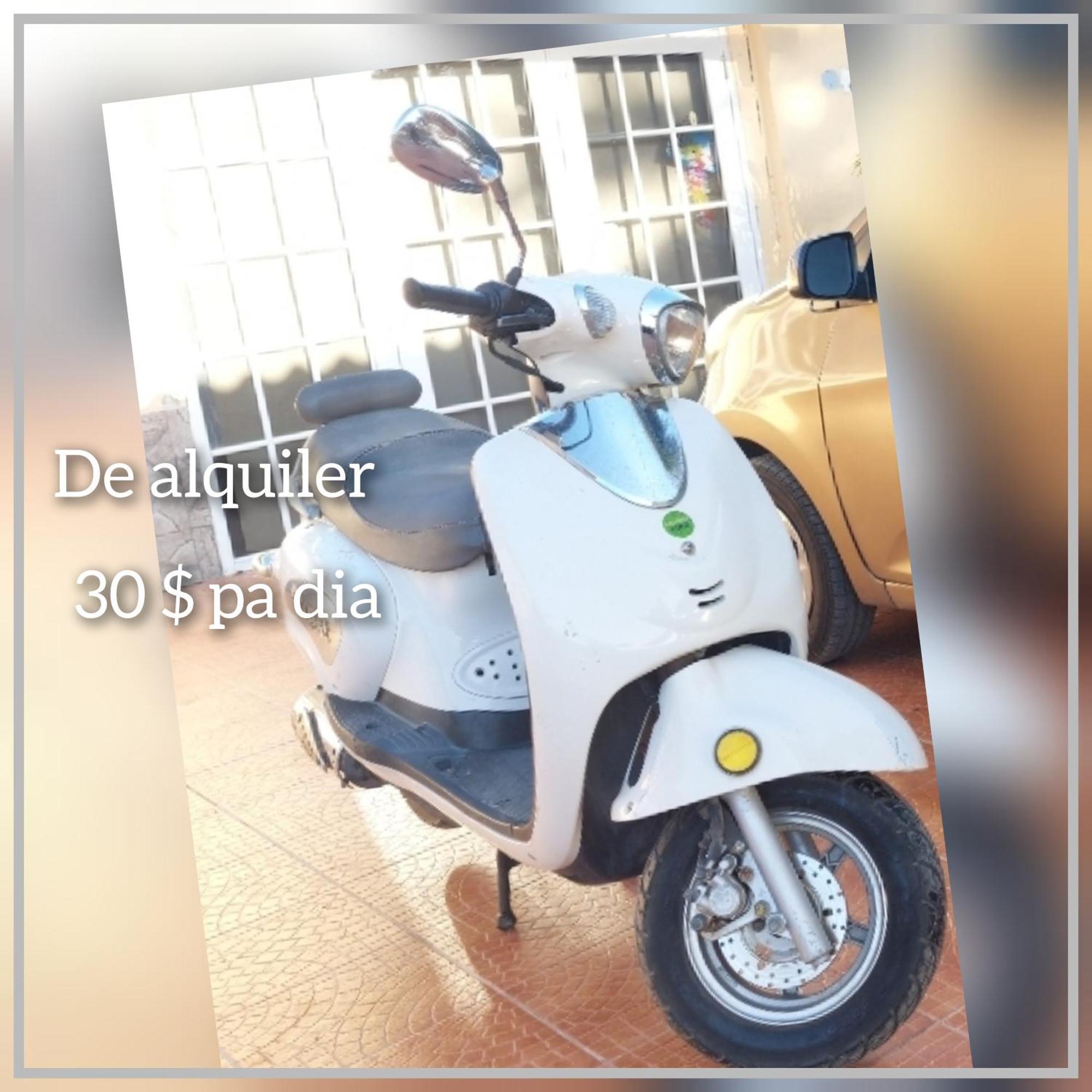 Apartamento Mi Hogar Julianadorp Exterior foto